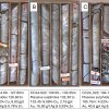 high-grade massive sulphide replacement style mineralization at the ring zone